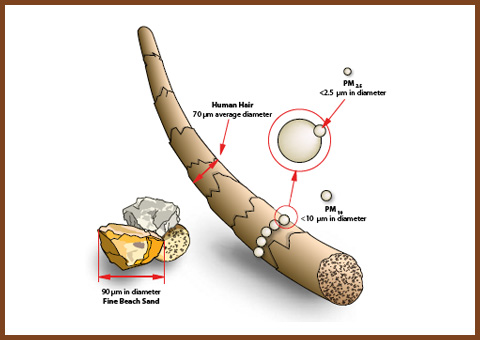 Άσθμα, αλλεργίες και ο απρόσμενος νέος σύμμαχός