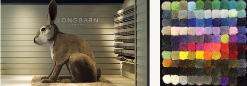 Τοπολογία και τοποφιλία, μοντέρνα χαλιά και ευδαιμονία