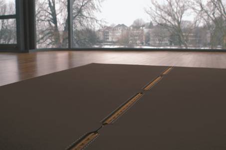  | a wool felt and leather rug 